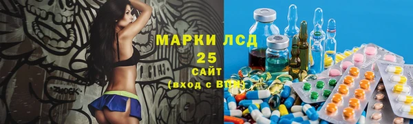 индика Богородск