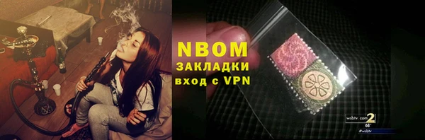 индика Богданович