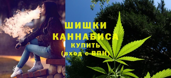 индика Богородск