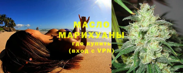 индика Богородск