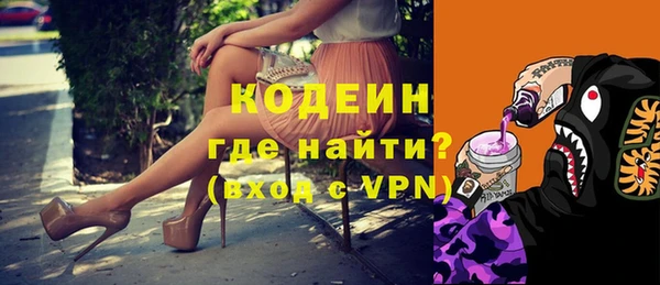 индика Богданович