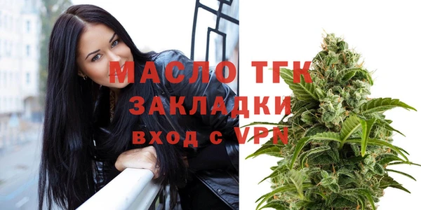 индика Богородск