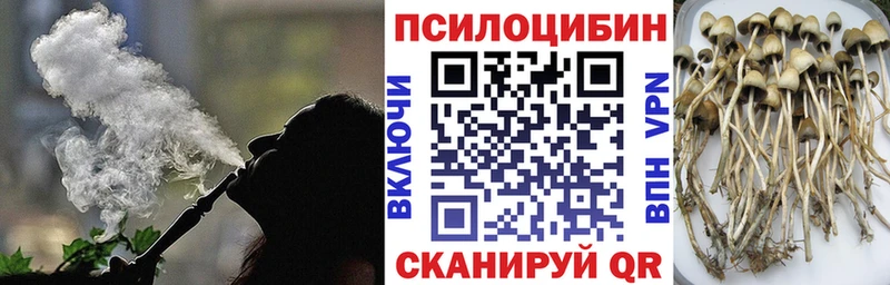 наркота  KRAKEN зеркало  Псилоцибиновые грибы прущие грибы  Верхний Тагил 
